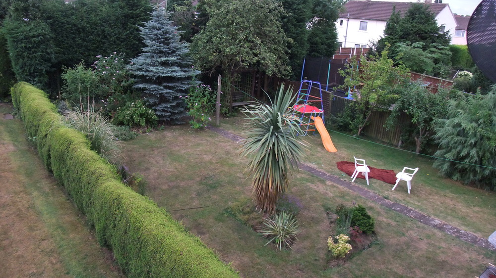 dscf9338.jpg